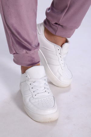 a5912953-c6f5-4cfc-9012-c019d2942c50